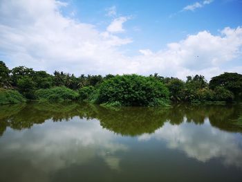 Reflection of trees in lake against sky