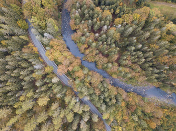 High angle view of trees on landscape