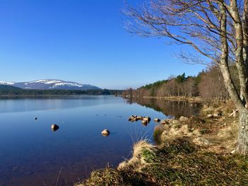 Scenic view of lake against clear blue sky