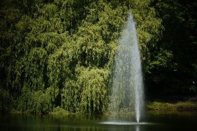 Scenic view of waterfall in forest