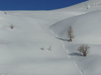 Snow covered land and trees against sky