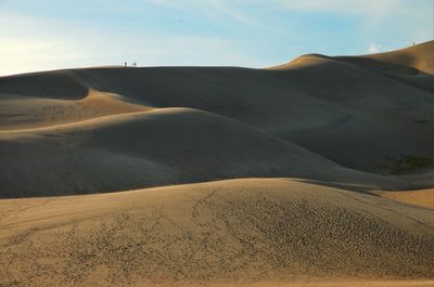 Idyllic shot of sand dunes in desert