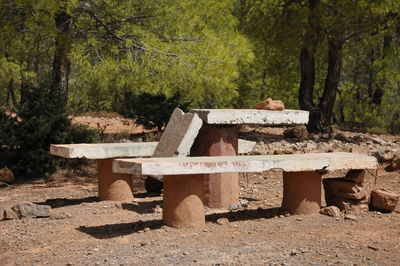 View of old ruin on field in forest