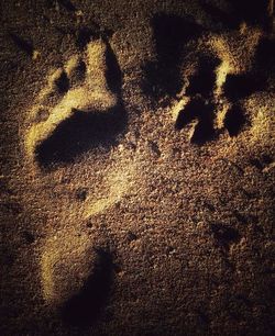 High angle view of footprints on sand