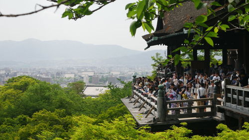 View of trees with mountain in background