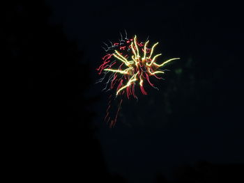 Low angle view of firework display at night