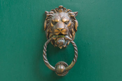 Close-up of a cat on wooden door