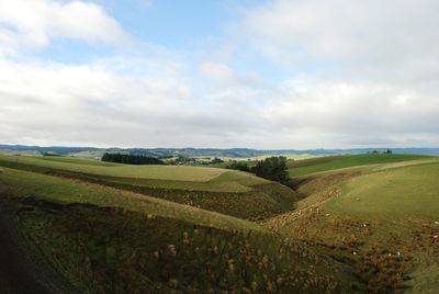 Scenic view of agricultural field against sky