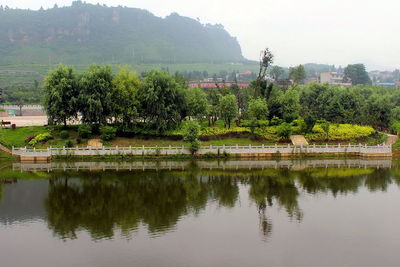 Reflection of trees in river