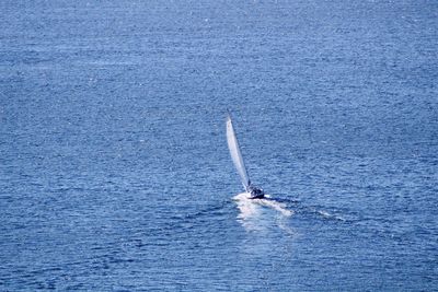 High angle view of man on boat sailing in sea