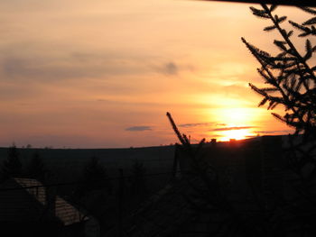 Silhouette trees against sky during sunset