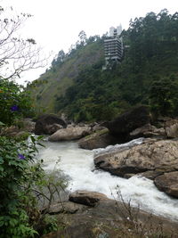 Scenic view of river amidst trees against sky