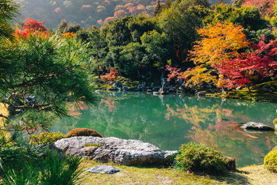 Trees by lake in forest during autumn