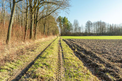Rural road next to forest and plowed field