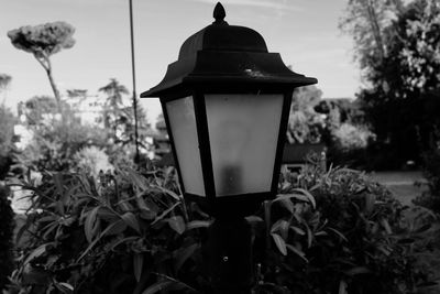 Close-up of street light in garden