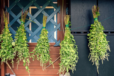 Potted plants hanging on wall