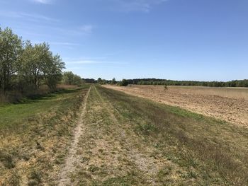 Empty road amidst field against sky