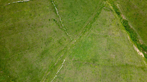 Full frame shot of green field