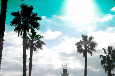 Low angle view of palm trees against cloudy sky