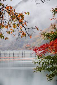 Scenic view of lake against sky during autumn