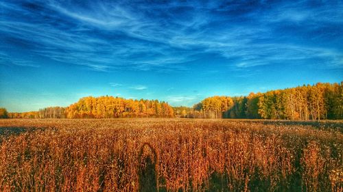 Scenic view of field against cloudy sky