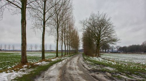 Road amidst bare trees on field against sky