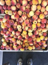 Low section of person standing on fruits