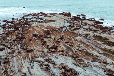 Close-up of rock on beach