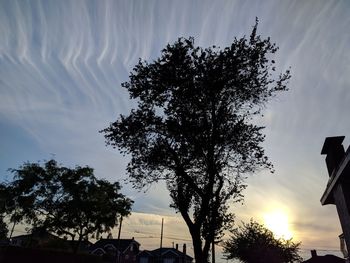 Low angle view of silhouette tree against sky during sunset