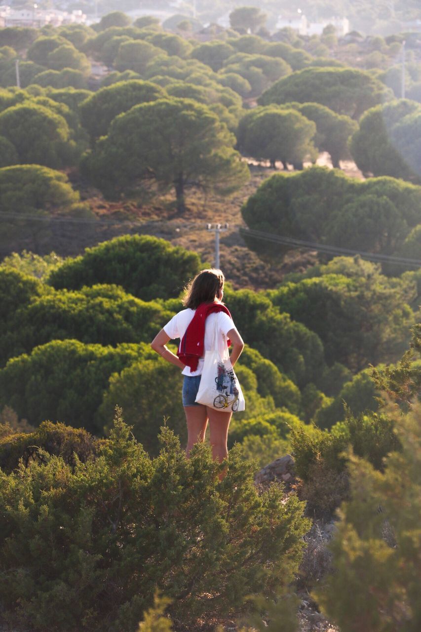 real people, nature, tree, full length, rear view, growth, one person, green color, plant, beauty in nature, outdoors, day, backpack, mountain, scenics, lifestyles, landscape, forest, young women, young adult, people