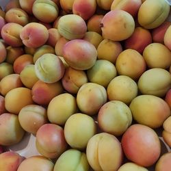 Full frame shot of oranges at market