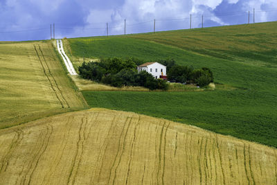 Scenic view of agricultural field against sky