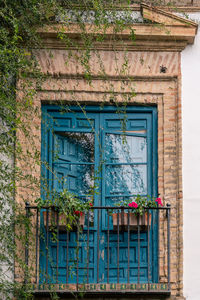 Low angle view of window on old building