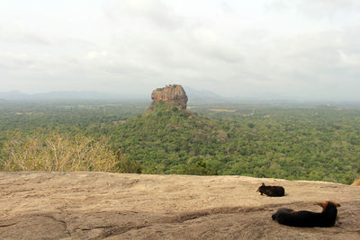 Rock formations on landscape against sky