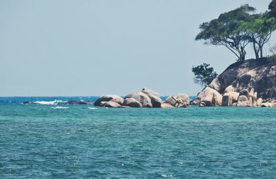 Scenic view of sea against clear sky