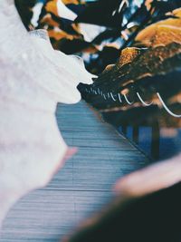 Close-up of person hand on wood