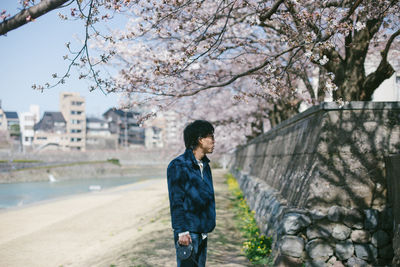 Man standing by cherry tree in city