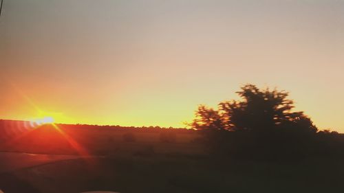 Silhouette trees against sky during sunset
