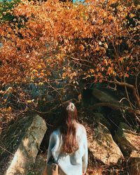 Rear view of woman standing by tree