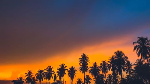 Silhouette trees against sky during sunset