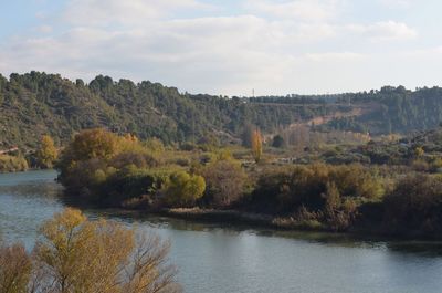 Scenic view of river against sky