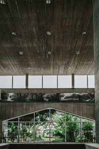 Reflection of trees on glass window