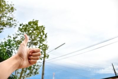 Hand holding plant against sky