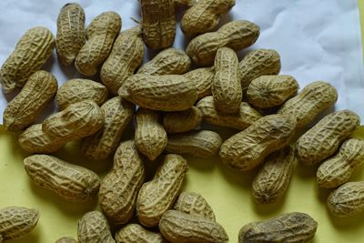 Close-up of onions on table