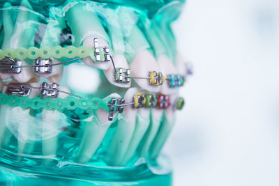 Close-up of artificial teeth