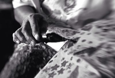 Close-up of plant against blurred background