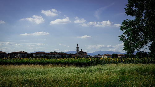 Scenic view of field against sky