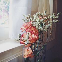 Close-up of pink flowers in vase