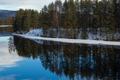 Beautiful landscape with reflection of the forest in the river at kongsberg, norway