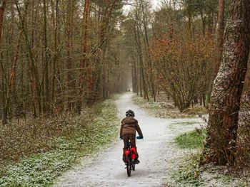 Rear view of man riding motorcycle on road in forest